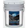 PERMANIZER 5 gal. PPG1154-1 Shooting Star Flat Exterior Paint