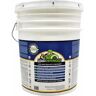 ECOBOND LBP Lead Defender PRO 5-Gal Off White Flat Lead Based Paint Treatment and Sealant