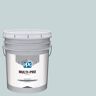MULTI-PRO 5 gal. Sky Diving PPG1035-2 Flat Interior Paint