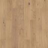 Pergo Defense+ Beachwood Park Oak 3/8 in. T x 7.5 in. W Waterproof Engineered Hardwood Flooring (24.5 sq.ft/case)