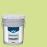 SPEEDHIDE 5 gal. Charming PPG1117-3 Semi-Gloss Exterior Paint
