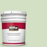 BEHR PREMIUM PLUS 5 gal. #P380-3 Irish Folklore Hi-Gloss Enamel Interior/Exterior Paint