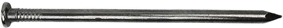 PRO-FIT 10 in. 50 lbs. Hot Dipped Galvanized Common Spike Nail (150-Count)