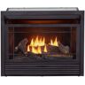 Rio Dual Fuel Ventless GasFireplace Insert - 26,000 BTU, T-Stat Control FDF300T