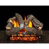 AMERICAN GAS LOG Aspen Whisper 24 in. Vented Natural Gas Fireplace Logs, Complete Set with Pilot Kit and On/Off Variable Height Remote