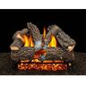 AMERICAN GAS LOG Aspen Whisper 30 in. Vented Natural Gas Fireplace Logs, Complete Set with Pilot Kit and On/Off Variable Height Remote