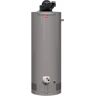 Rheem Performance 50 Gal. Short 6-Year 36,000 BTU Natural Gas Power Vent Tank Water Heater