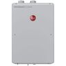 Rheem Performance Platinum 8.4 GPM Natural Gas High Efficiency Indoor Tankless Water Heater