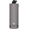 Rheem Performance 40 Gal. Short 6-Year Warranty 36,000 BTU Natural Gas Power Vent Tank Water Heater