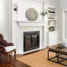 Pleasant Hearth Alsip Medium Glass Fireplace Doors