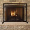 Pleasant Hearth Manchester Petite Size Black Steel and Glass Single-Panel Fireplace Screen with Doors