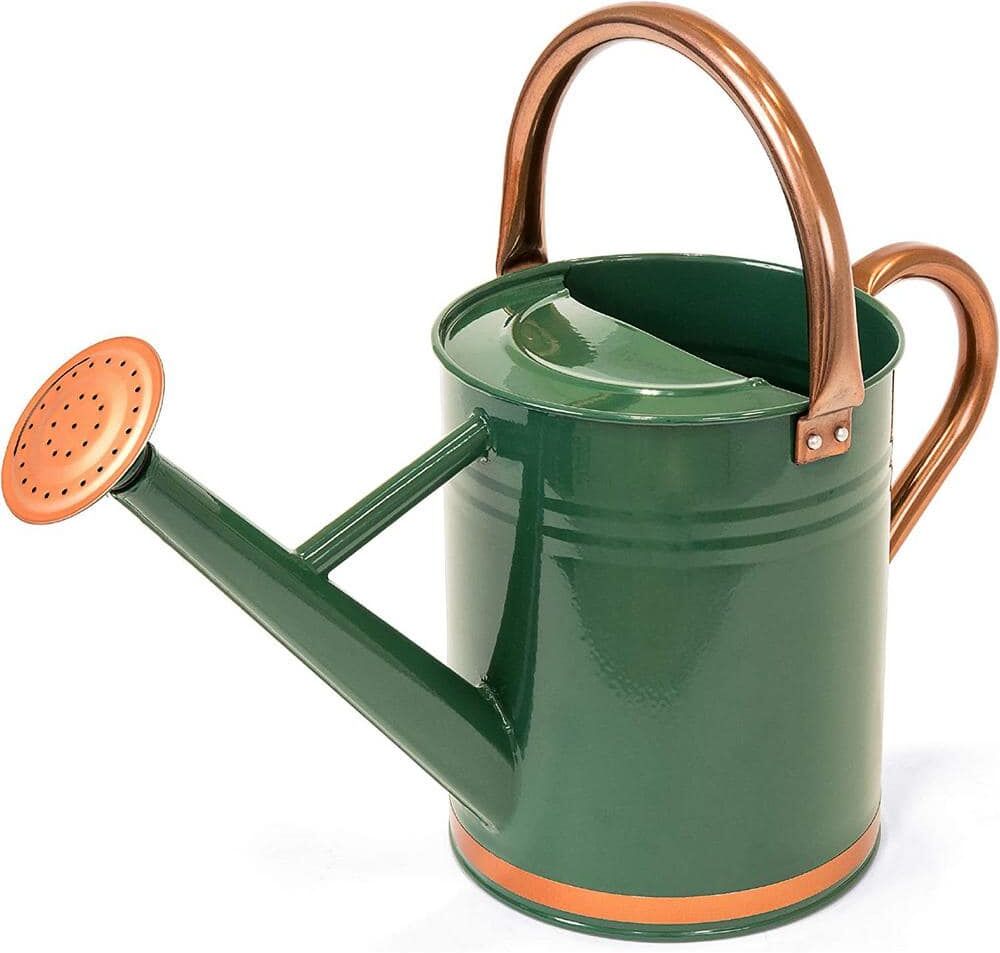 Cubilan 1 Gal. Lightweight Galvanized Steel Gardening Watering Can w/O-Ring, Top Handle, and Copper Accents