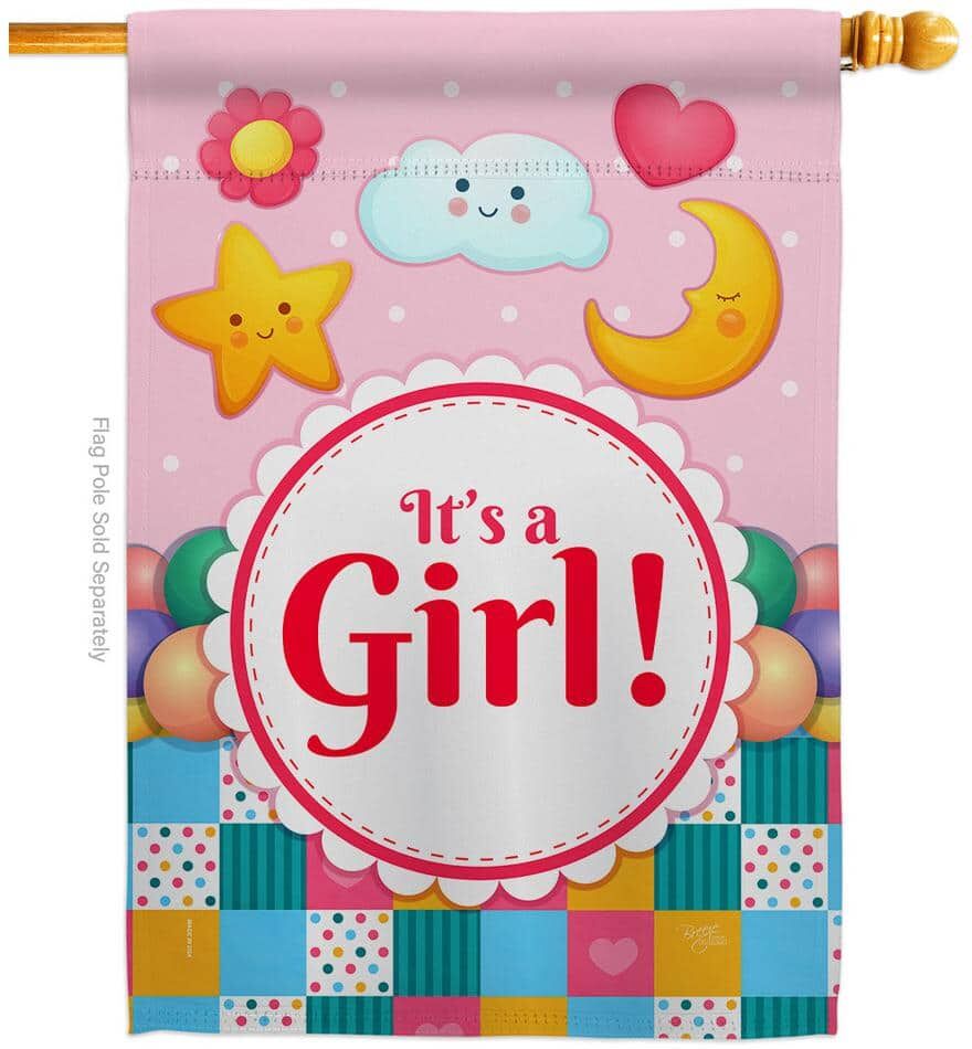 Breeze Decor 2.3 ft. x 3.3 ft. It's a Baby Girl New Born House Flag 2-Sided Celebration Decorative Vertical Flags