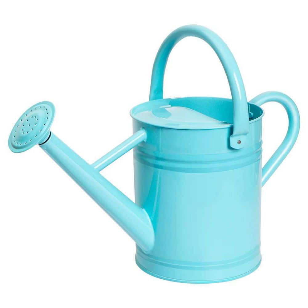 Dyiom 1 Gal. Metal Plant Light Blue Watering Can for Outdoor Plants