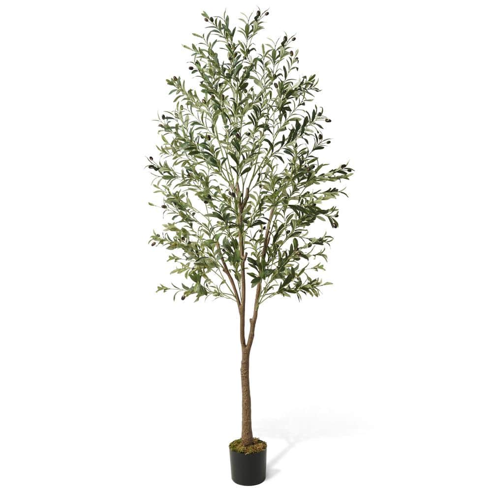 CAPHAUS 7 ft. Green Olive Artificial Tree, Faux Plant in Pot, Faux Olive Branch and Fruit with Dried Moss for Indoor Home Office