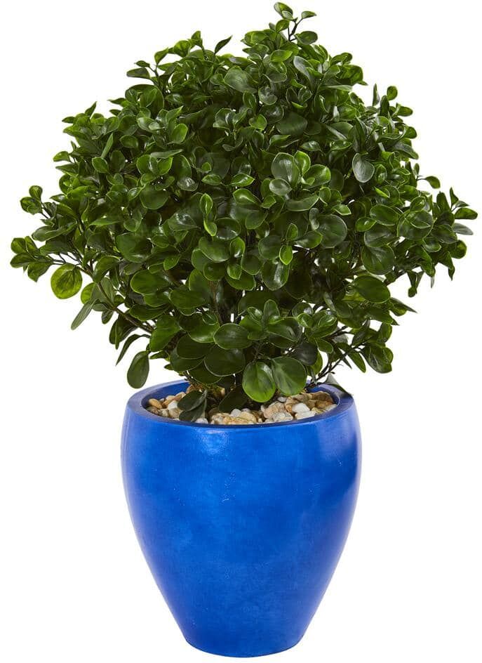 Nearly Natural Indoor/Outdoor 32 in. Peperomia Artificial Plant in Blue Planter UV Resistant