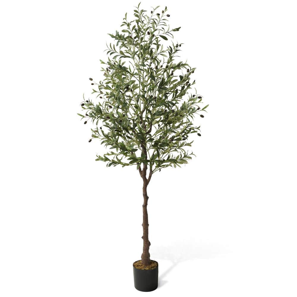 CAPHAUS 6 ft. Green Olive Artificial Tree, Faux Plant in Pot, Faux Olive Branch and Fruit with Dried Moss for Indoor Home Office