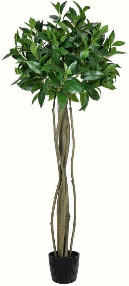 Vickerman 4 ft. Artificial Potted Bay Leaf Topiary Plant