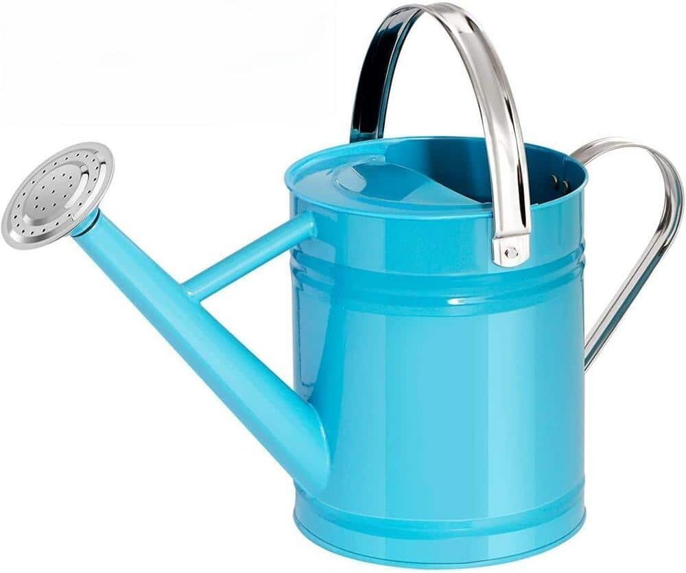 Cubilan 1 Gal. Metal Watering Can for Outdoor&Indoor Plants, Galvanized Steel Watering Can with Stainless Steel Handle