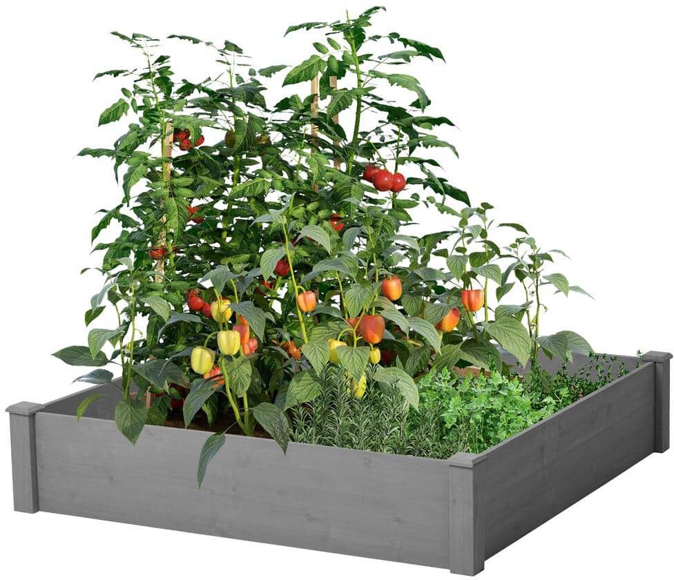 Cesicia Raised Garden Bed 48 in. x 48 in. x 10 ft. Outdoor Wood Planter Box Over Floor, Tool-Free Assembly