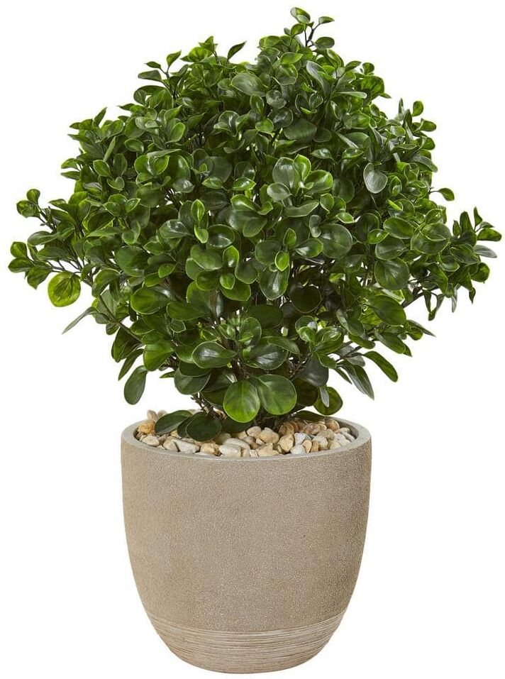 Nearly Natural Indoor/Outdoor 30 in. Peperomia Artificial Plant in Sand Stone Planter UV Resistant