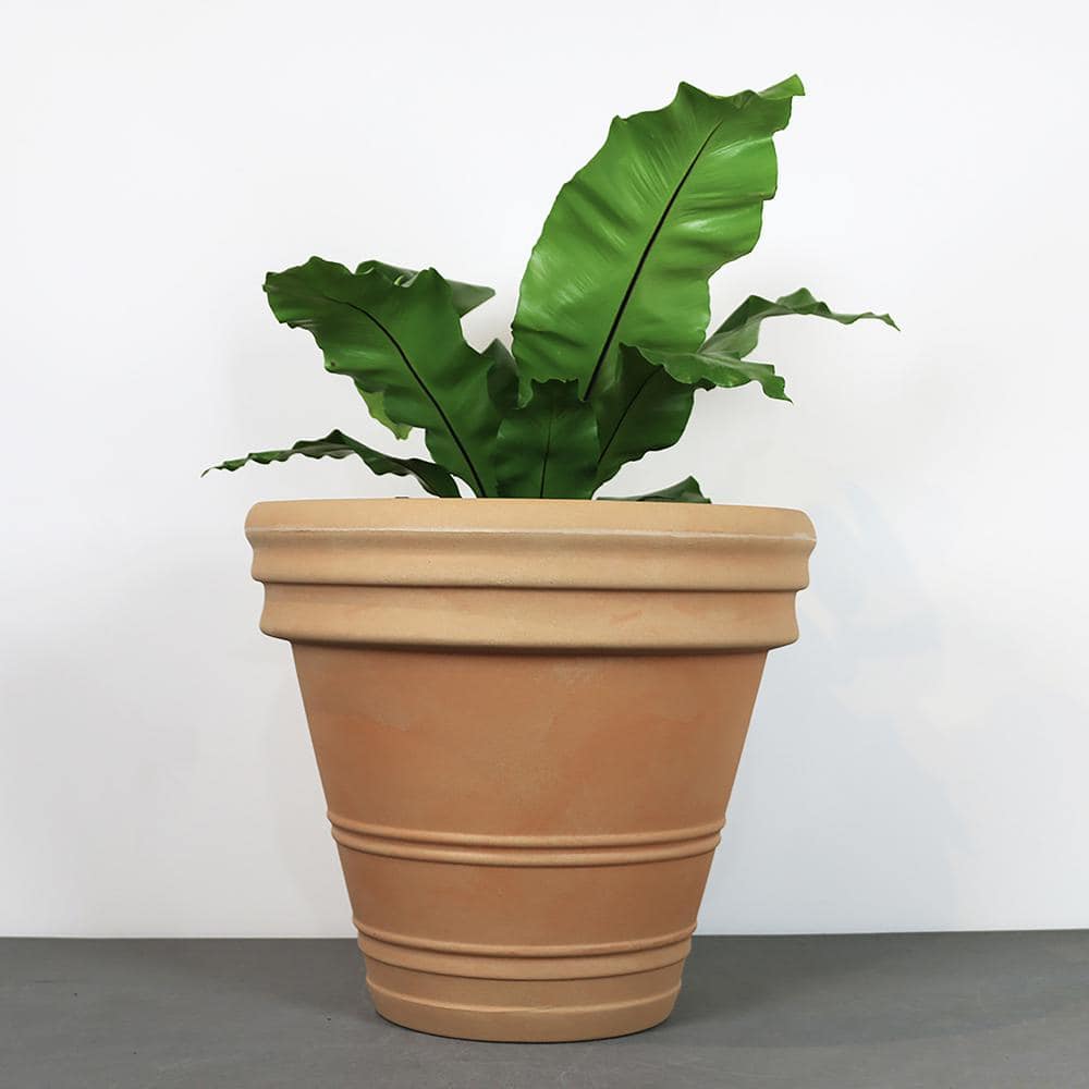 Rain Forest 15.7 in. Dia x 12.6 in. H Antúrio Antique Terracotta Plastic Planter