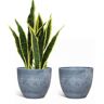 DIRECT WICKER Emily 11 in. Cement Finish Round Outdoor Resin Planter (2-Pack)
