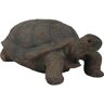 Sunnydaze Decor 30 in. Todd the Tortoise Indoor-Outdoor Lawn and Garden Statue