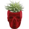 Flora Bunda 5.125 in. H Fake Succulent in Burgundy Flocked Skull Ceramic