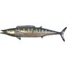 Design Toscano 14 in. H Wahoo Wall Mount Trophy Sculpture