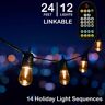 HoliScapes 24 ft - 12 Color Changing Shatter Proof LED Lights - Holiday Cafe Bistro Lights - 14 Holiday Light Sequences