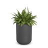 Mayne Arden 18 in. Tall Self-Watering Graphite Grey Polyethylene Planter