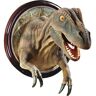 Design Toscano 14.5 in. H T-Rex Dinosaur Trophy Wall Sculpture