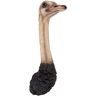 Design Toscano 28 in. H Ostrich Bird Trophy Wall Sculpture