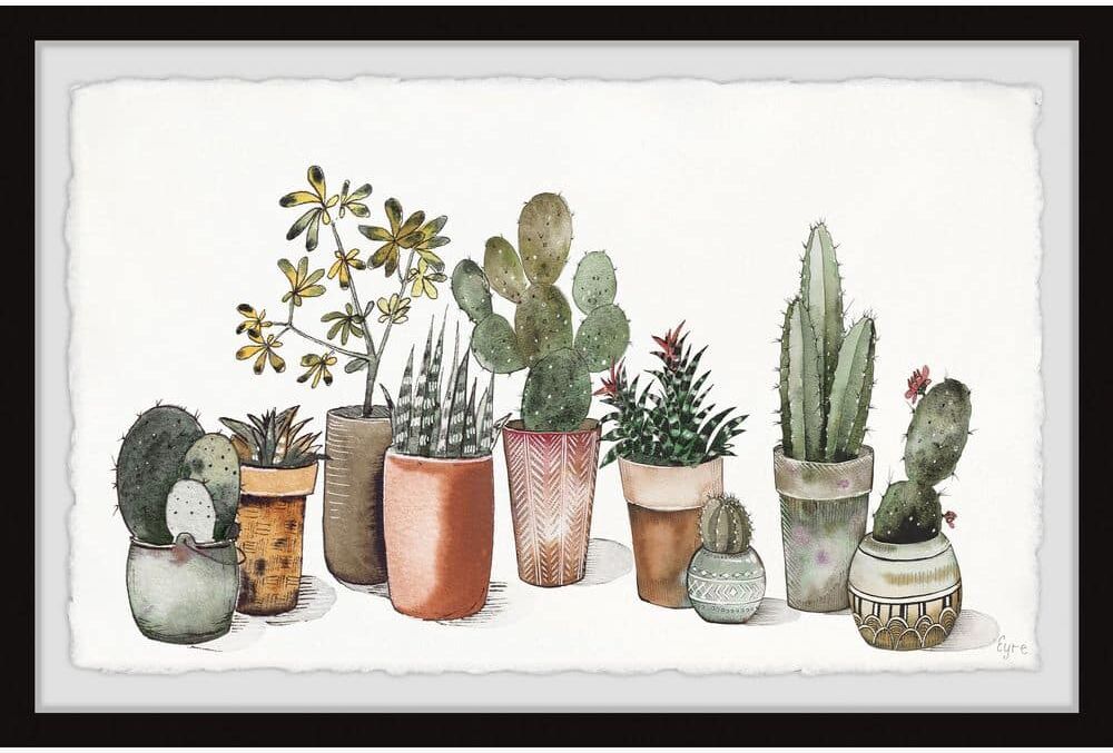 Succulent Garden in Pots By Eyre Tarney Framed Nature Art Print 12 in. x 18 in.