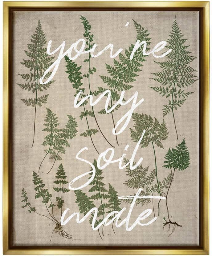 The Stupell Home Decor Collection You're My Soil Mate Rustic Fern Motif Calligraphy by Lil' Rue Floater Frame Country Wall Art Print 21 in. x 17 in.