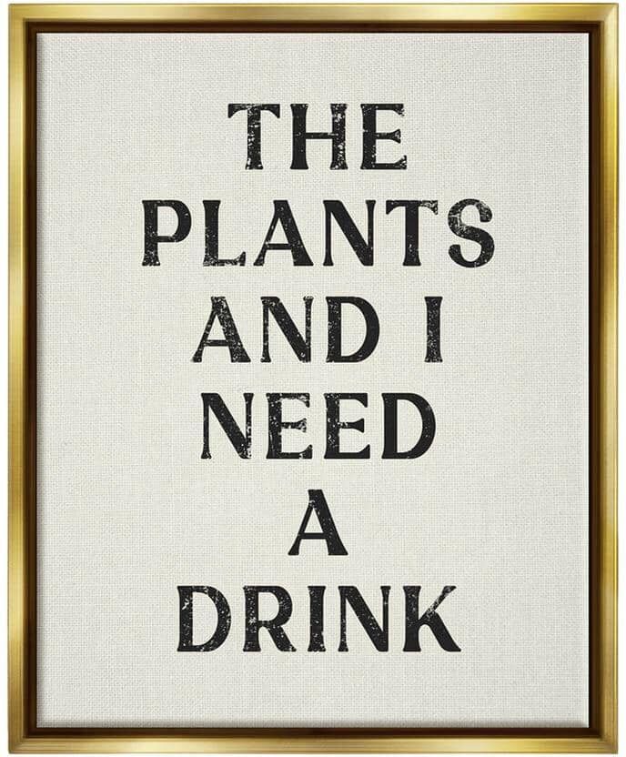 The Stupell Home Decor Collection Need a Drink Humorous Plant Parent Weathered Text by Lil' Rue Floater Frame Typography Wall Art Print 21 in. x 17 in.