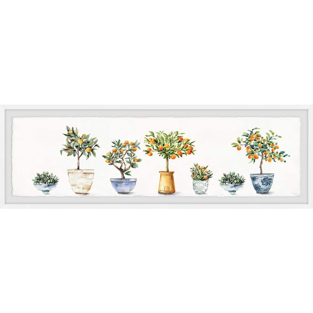 Container Gardening by Parvez Taj Framed Nature Art Print 10 in. x 30 in.