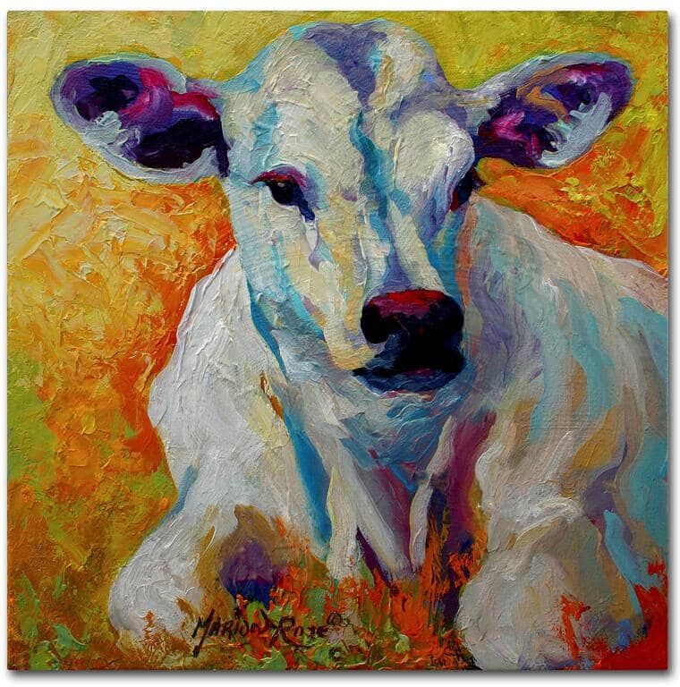 Trademark Fine Art 14 in. x 14 in. "White Calf" by Marion Rose Printed Canvas Wall Art