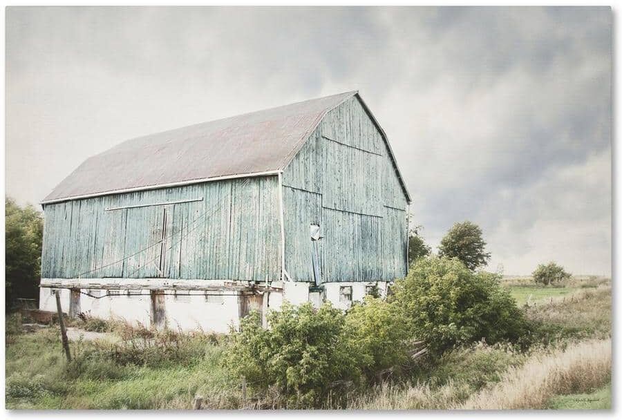 Trademark Fine Art Late Summer Barn I Crop by Elizabeth Urquhart Floater Print Hidden Frame Country Wall Art 22 in. x 32 in.