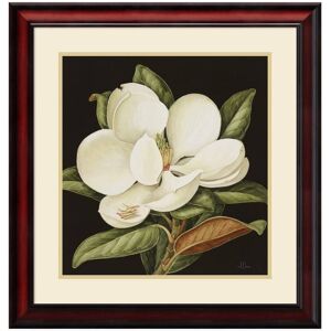 Amanti Art 24 in. W x 25 in. H 'Magnolia Grandiflora, 2003' by Jenny Barron Printed Framed Wall Art