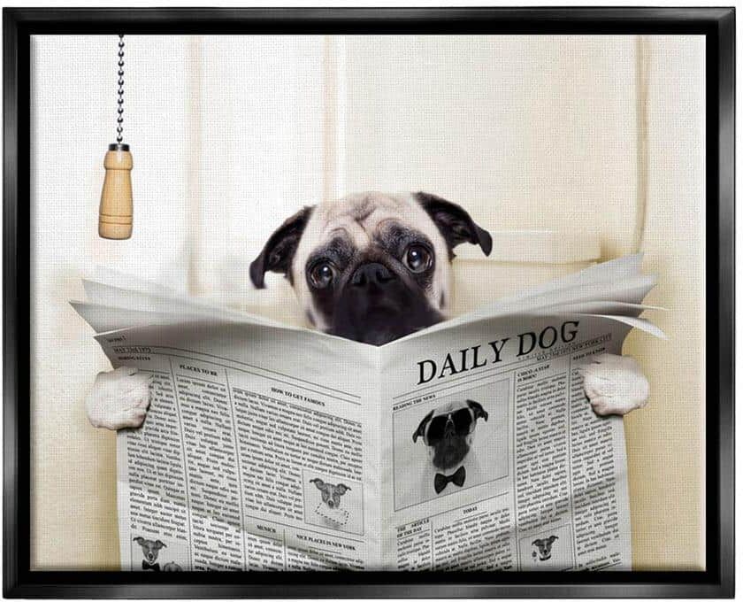 The Stupell Home Decor Collection Pug Reading Newspaper in Bathroom by In House Floater Frame Animal Wall Art Print 31 in. x 25 in.