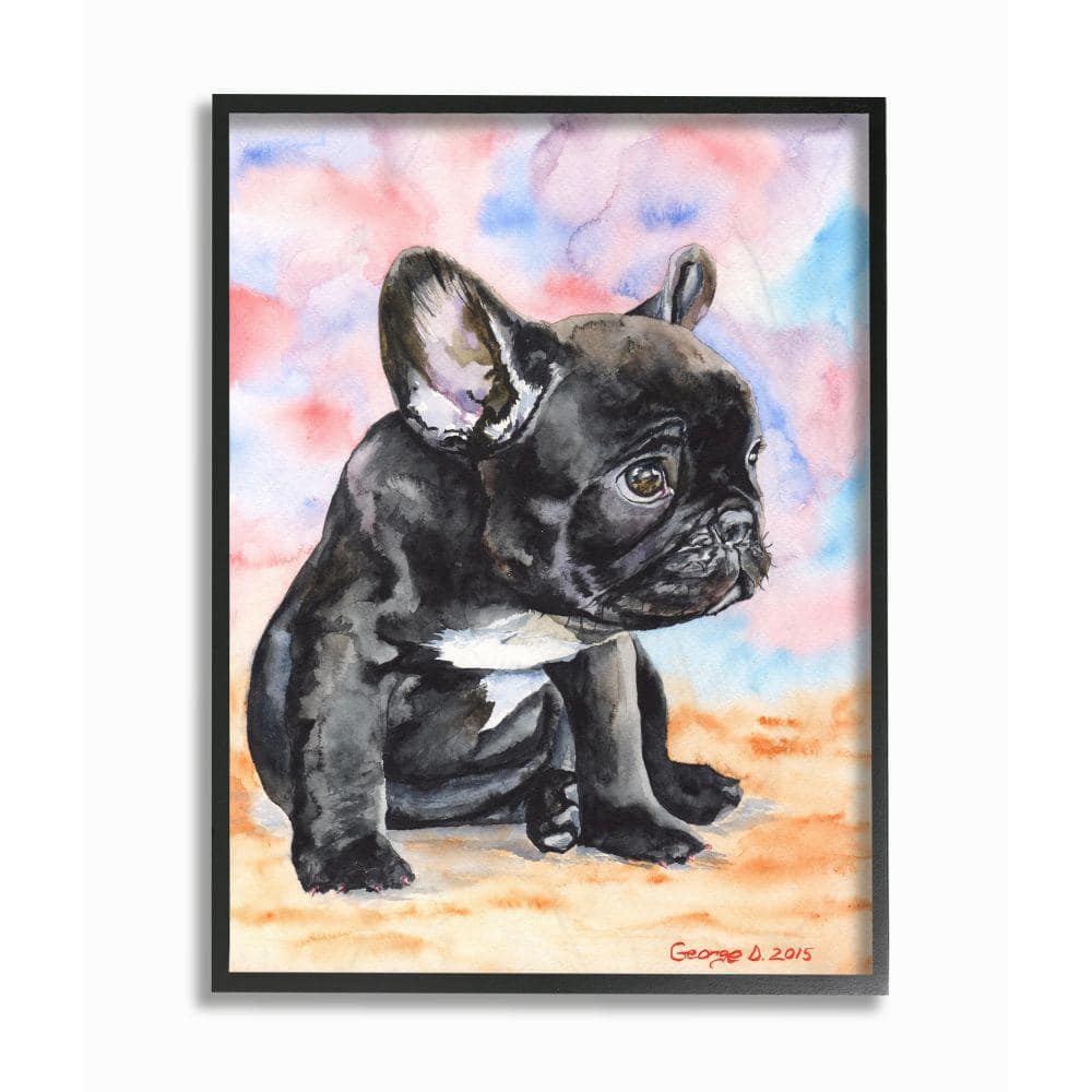 Stupell Industries 24 in. x 30 in. "French Bulldog Puppy Dog Pet" by George Dyachenko Framed Wall Art