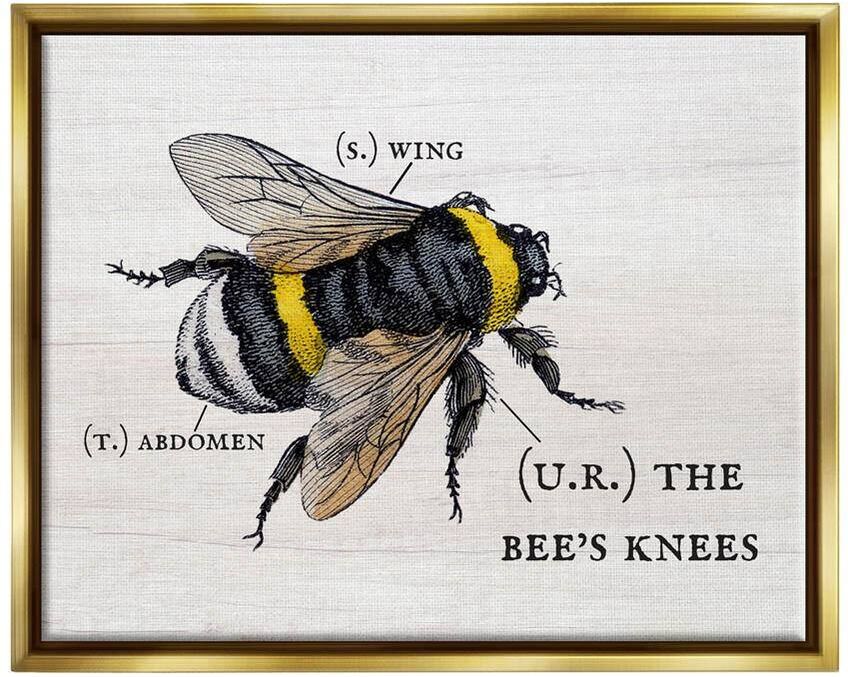 The Stupell Home Decor Collection Anatomy of Honey Bee Pun Charming Bee's Knees by Daphne Polselli Floater Frame Animal Wall Art Print 17 in. x 21 in.