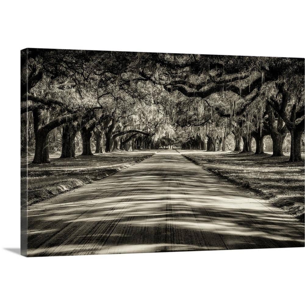 GreatBigCanvas Oak tree lined road at Boone Hall Plantation, Charleston by Scott Stulberg Canvas Wall Art