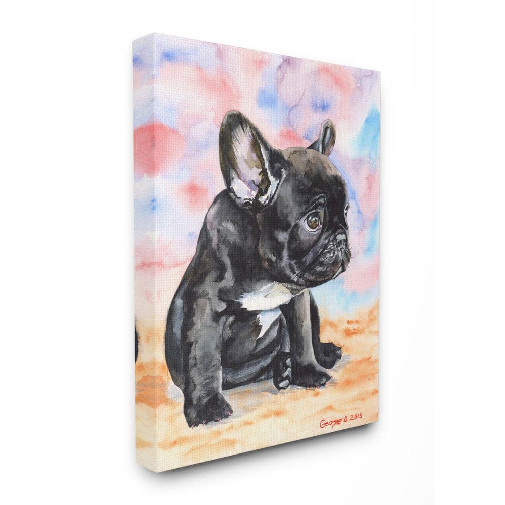 Stupell Industries 30 in. x 40 in. "French Bulldog Puppy Dog Pet" by George Dyachenko Canvas Wall Art