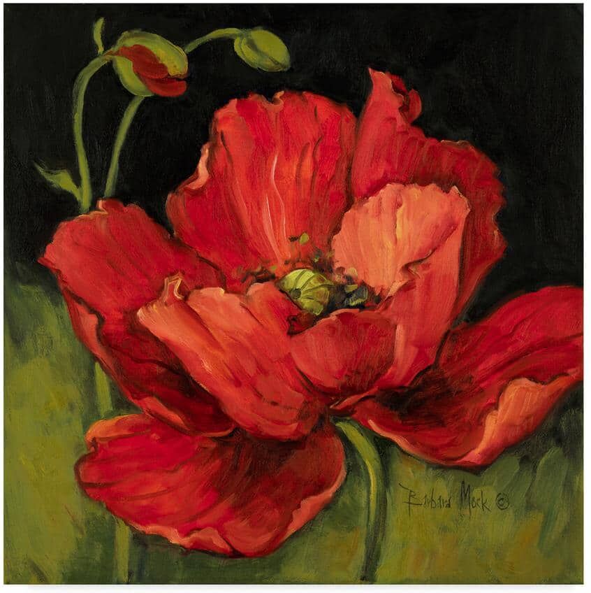 Trademark Fine Art Barbara Mock ' Poppy Blossom' Canvas Unframed Photography Wall Art 35 in. W. x 35 in