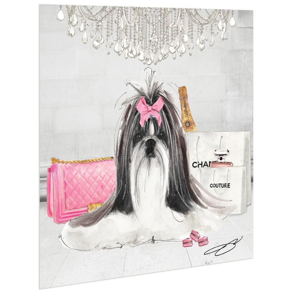 Empire Art Direct Pink Shih Tzu Unframed Free Floating Tempered Glass Panel Graphic Dog Animal Wall Art Print 20 in. x 20 in.