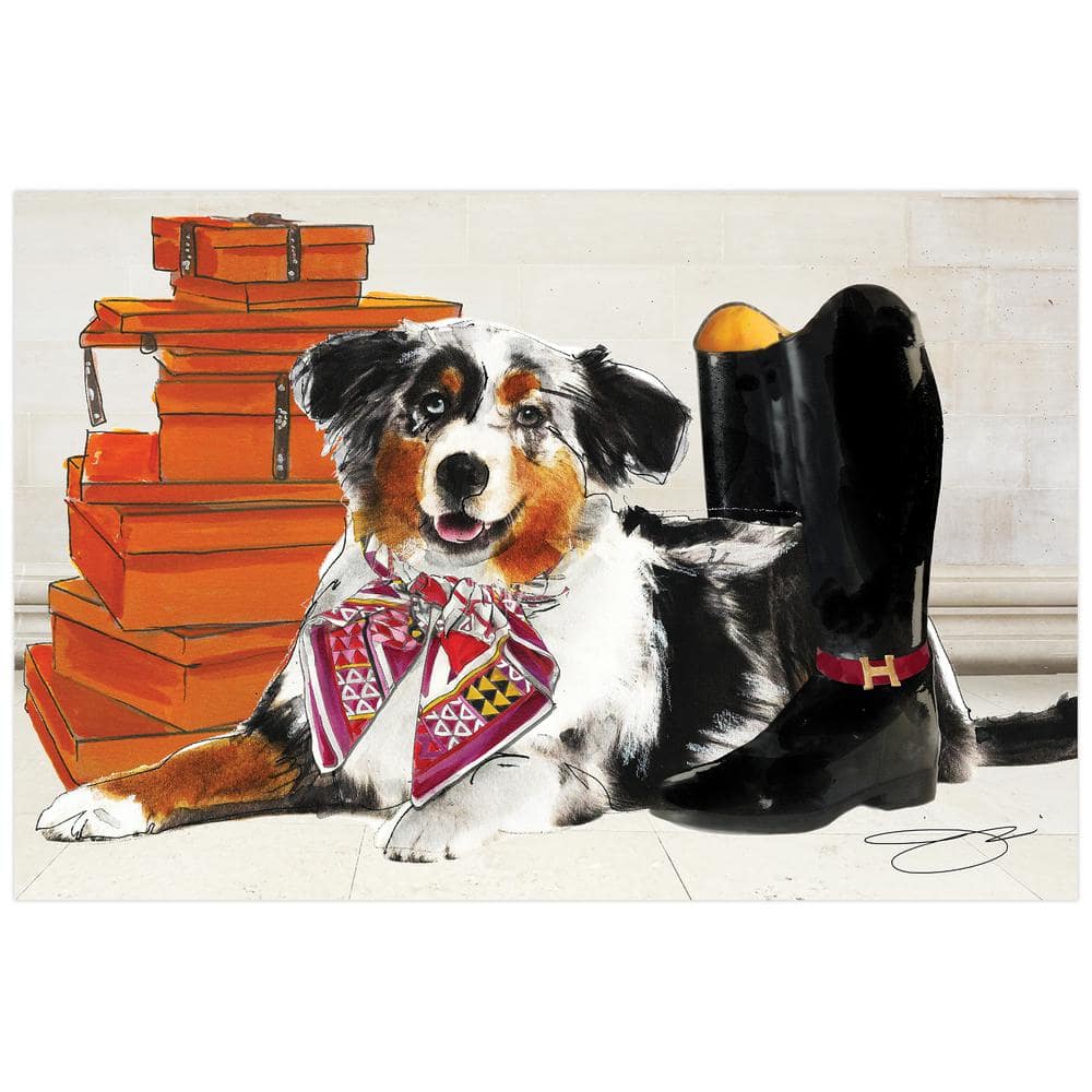 Empire Art Direct Border Collie Unframed Free Floating Tempered Glass Panel Graphic Dog Animal Wall Art Print 16 in. x 24 in.
