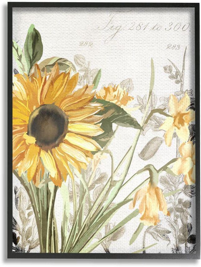 Stupell Industries Soft Sunflower Floral Vintage Plant Illustration by Kim Allen Framed Nature Texturized Art Print 11 in. x 14 in.